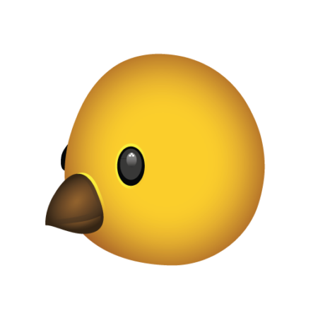 Baby Chick