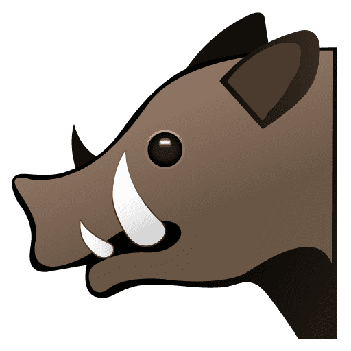 Boar
