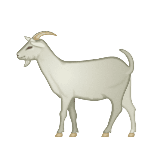Goat