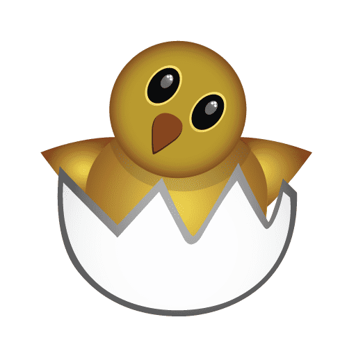 Hatching Chick