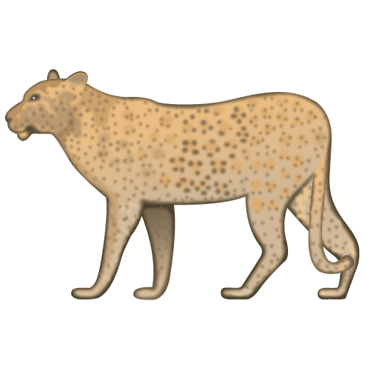 Leopard