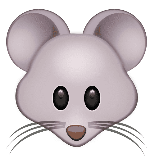 Mouse Face