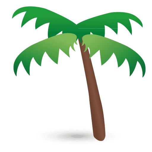 Palm Tree