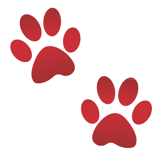Paw Prints