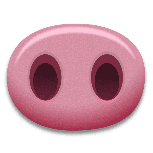 Pig Nose