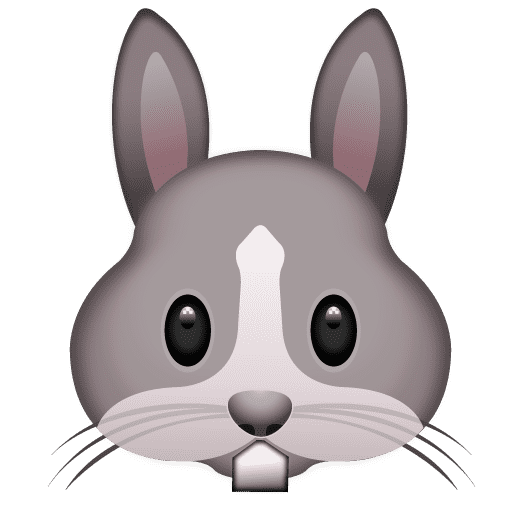 Rabbit Face