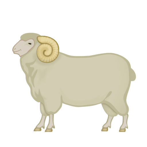 Ram